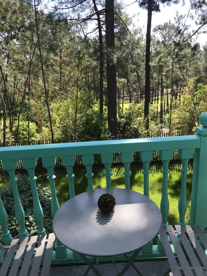 Un Nid Dans La Pinede Villa Lacanau Ngoại thất bức ảnh