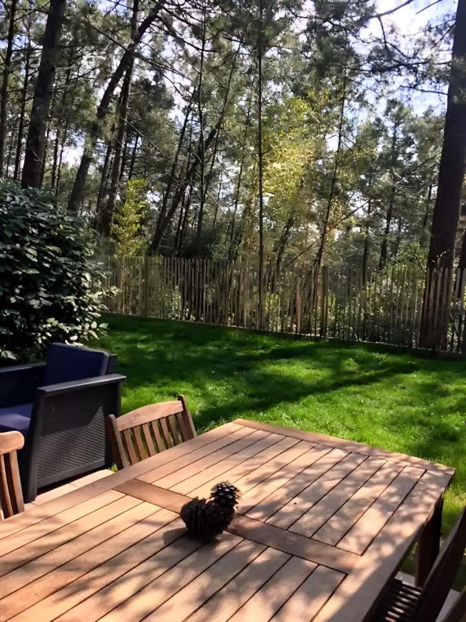 Un Nid Dans La Pinede Villa Lacanau Ngoại thất bức ảnh